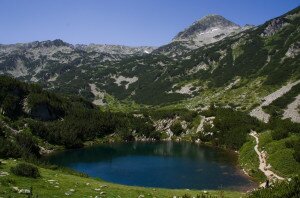 pirin